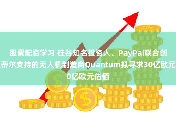 股票配资学习 硅谷知名投资人、PayPal联合创始人蒂尔支持的无人机制造商Quantum拟寻求30亿欧元估值